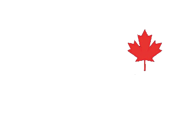 A red maple leaf on a white background, representing a symbol commonly associated with Canada. OCIDM,io Branding and Digital marketing Hamilton, Toronto, Oakville, Mississauga A red maple leaf on a white background, representing a symbol commonly associated with Canada. OCIDM,io Branding and Digital marketing Hamilton, Toronto, Oakville, Mississauga